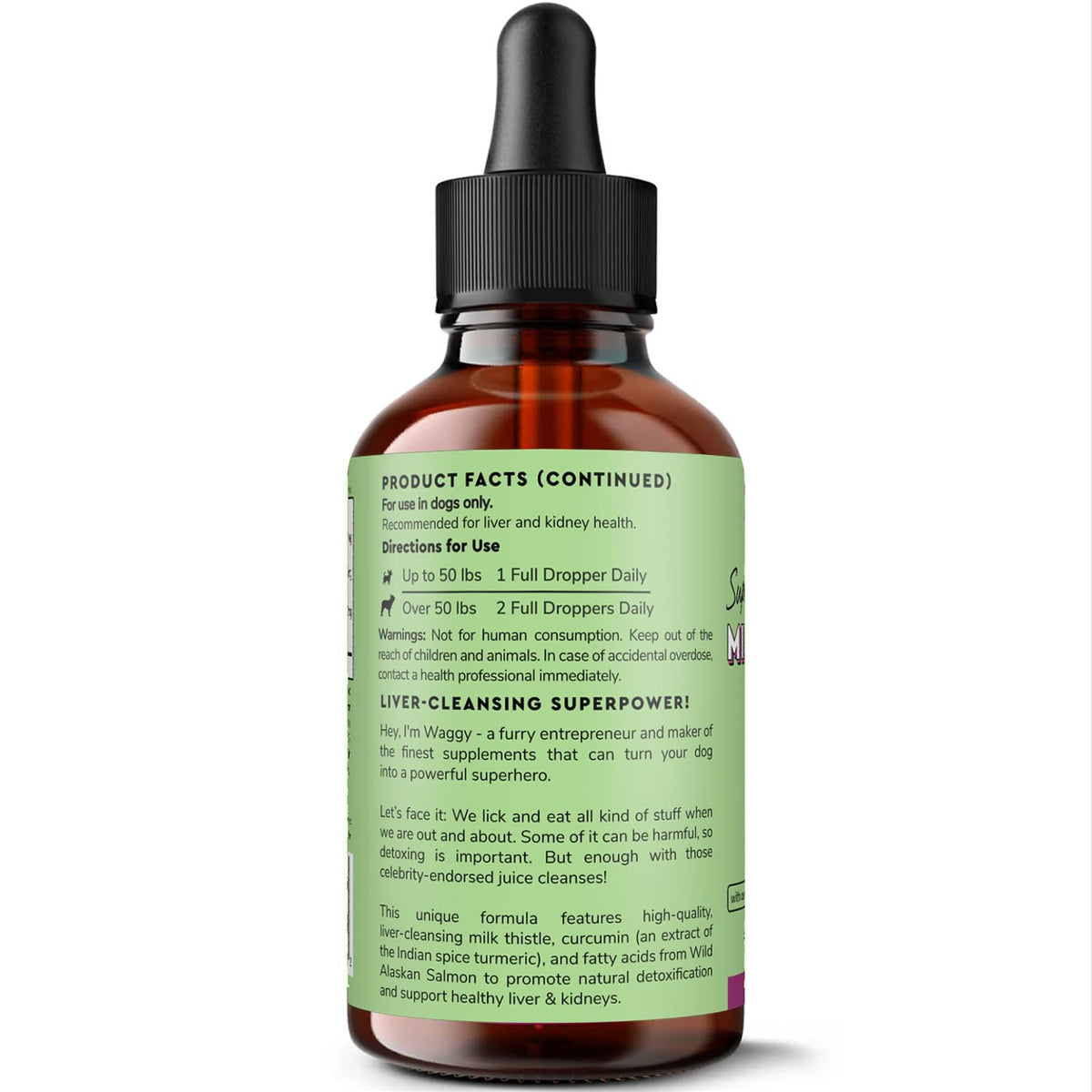 Milk Thistle Liver Support for Dogs with Salmon Oil & Curcumin 2 Oz E993