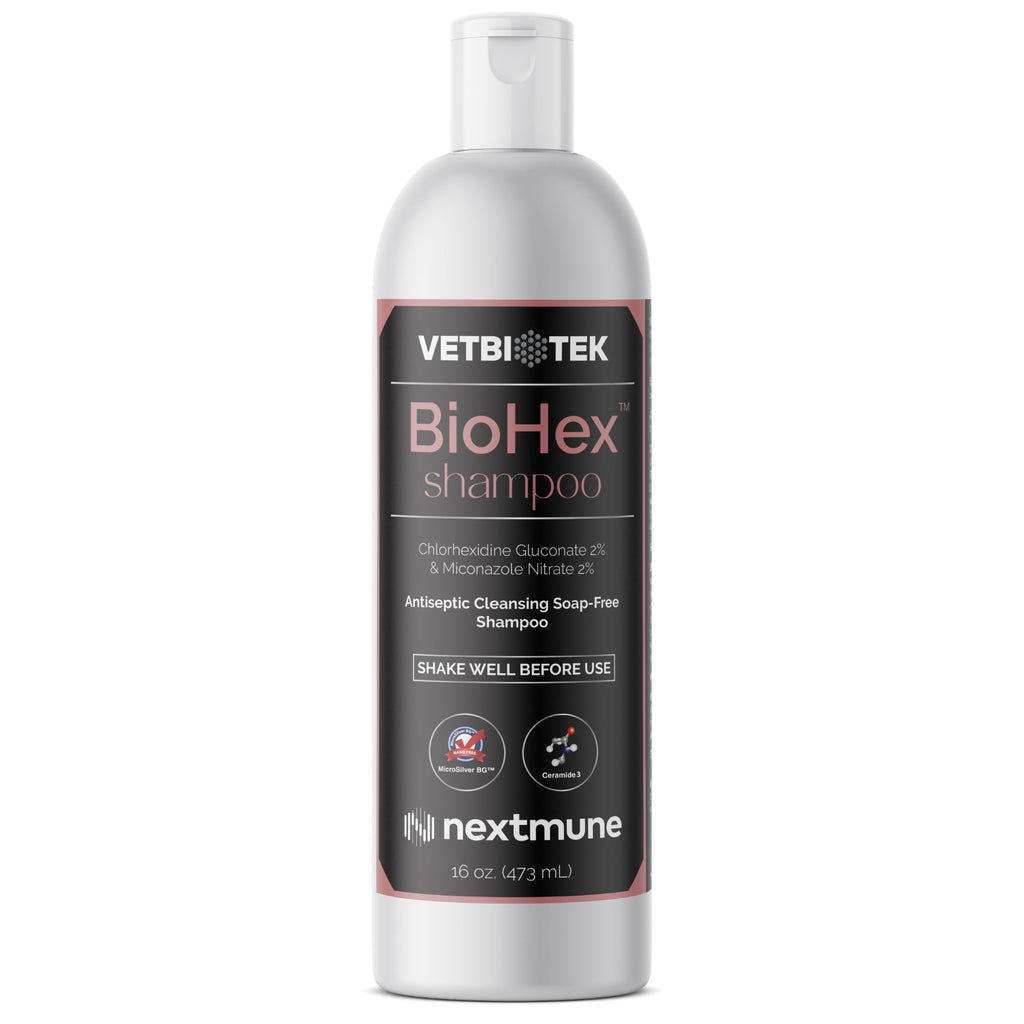 Dog Cat & Horse Shampoo 16oz G290600