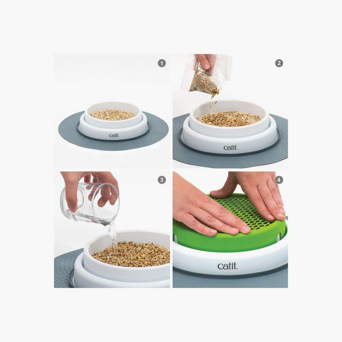 Cat Grass Seeds Set of 3 S535