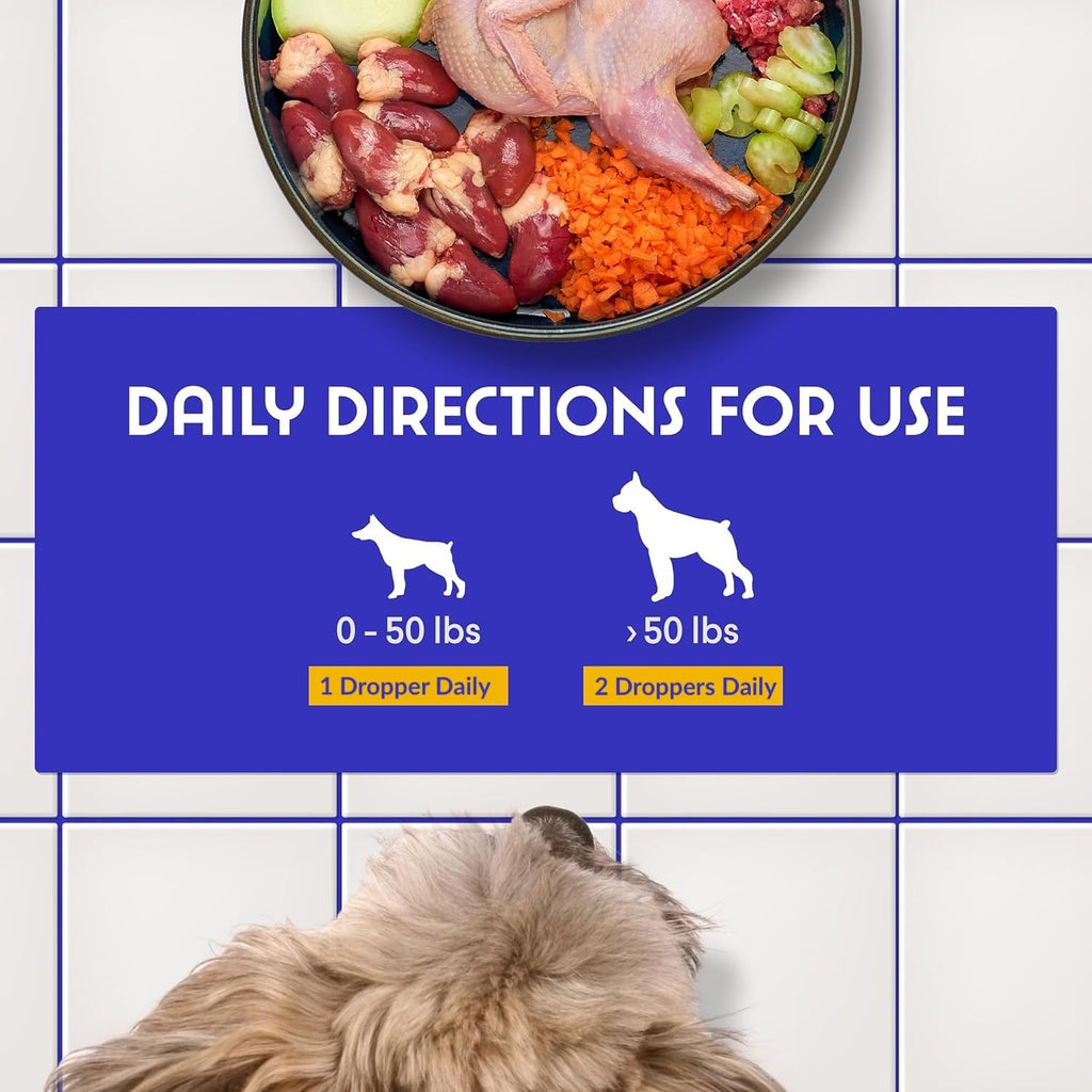Milk Thistle Liver Support for Dogs with Salmon Oil & Curcumin 2 Oz E993