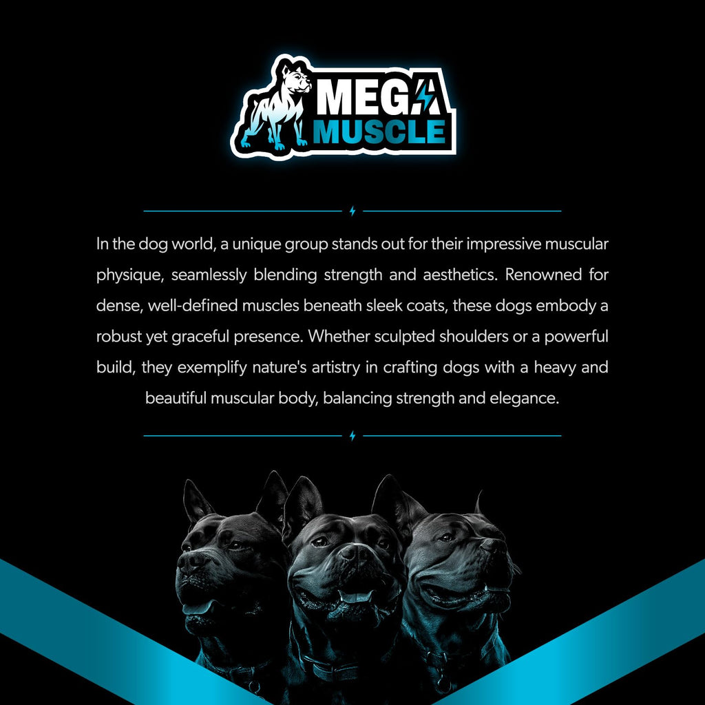 Dog Muscle Support Powder Blue Mussel Bone Broth Food Topper 3.2 oz G421