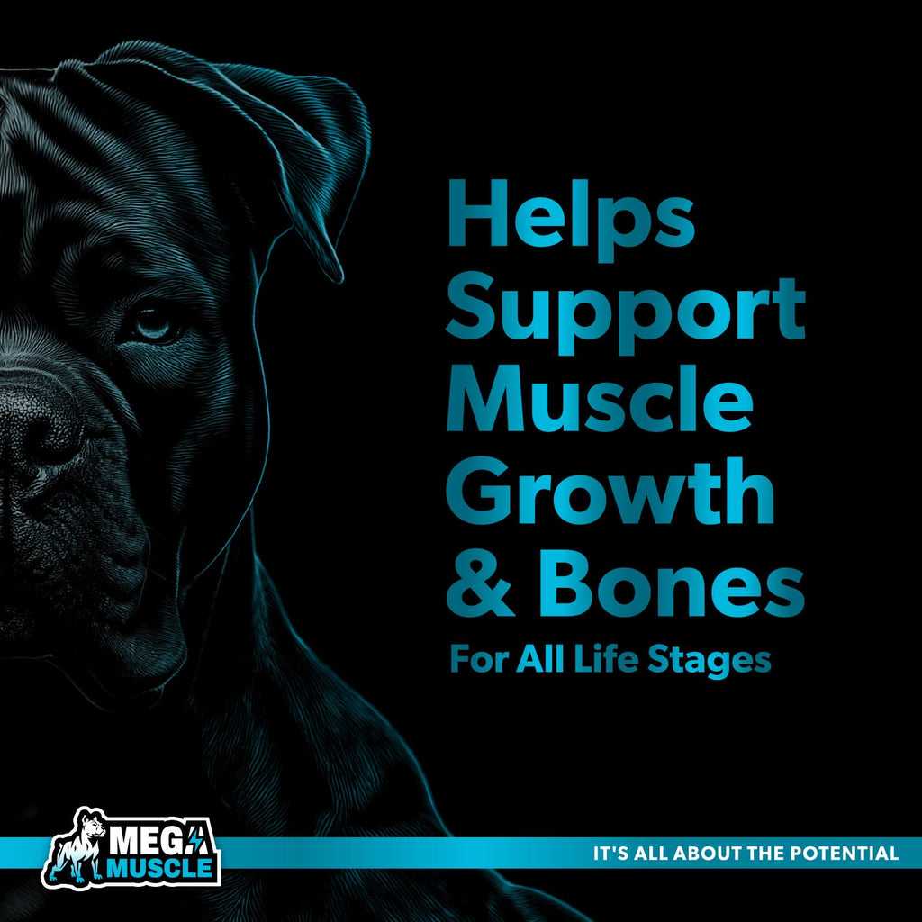 Dog Muscle Support Powder Blue Mussel Bone Broth Food Topper 3.2 oz G421
