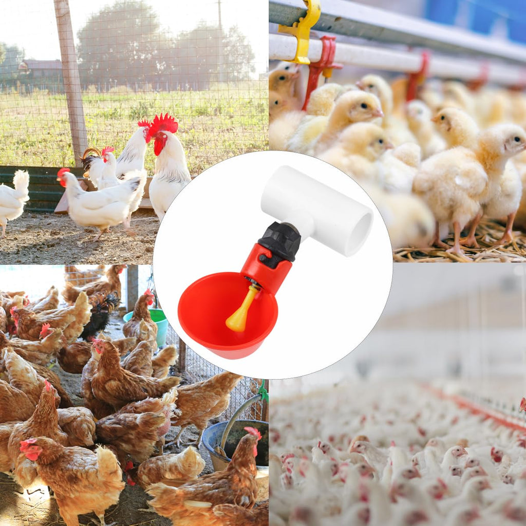 12 Pack Automatic Plastic Chicken Waterer Cups J747