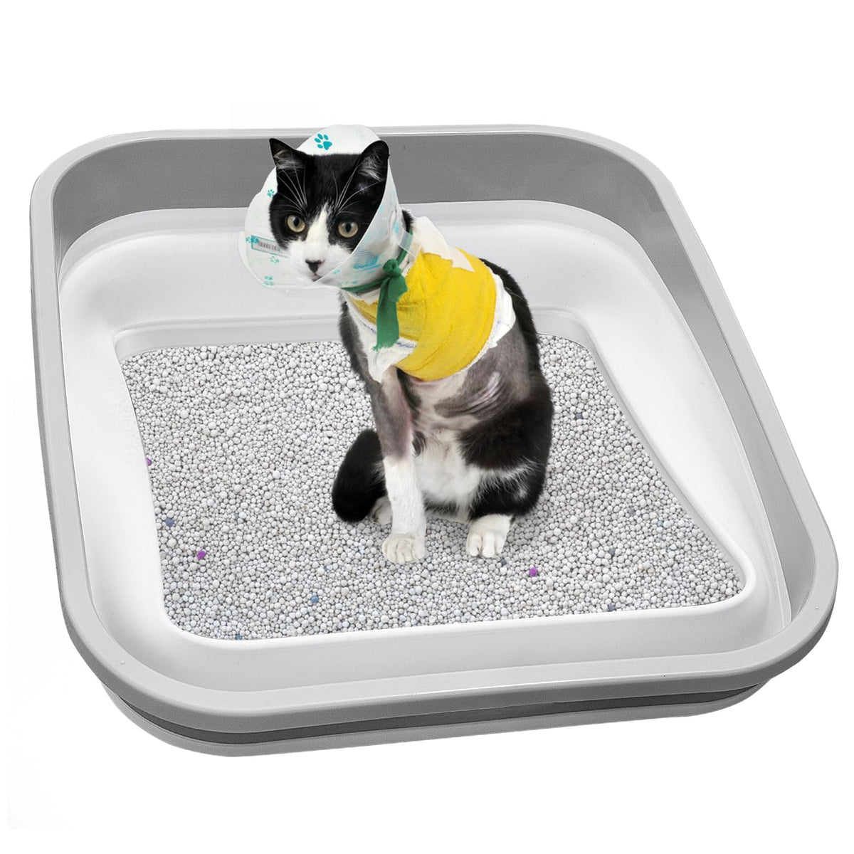 Collapsible Open Cat Litter Box W4270