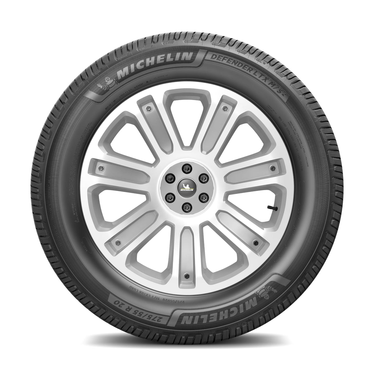 275/55R20 117T XL Tire R239