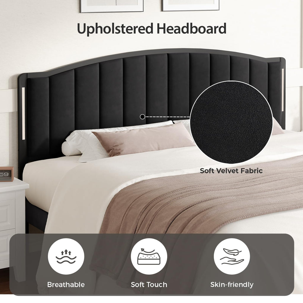Upholstered Tufting Headboard Queen Size with Lights E84038
