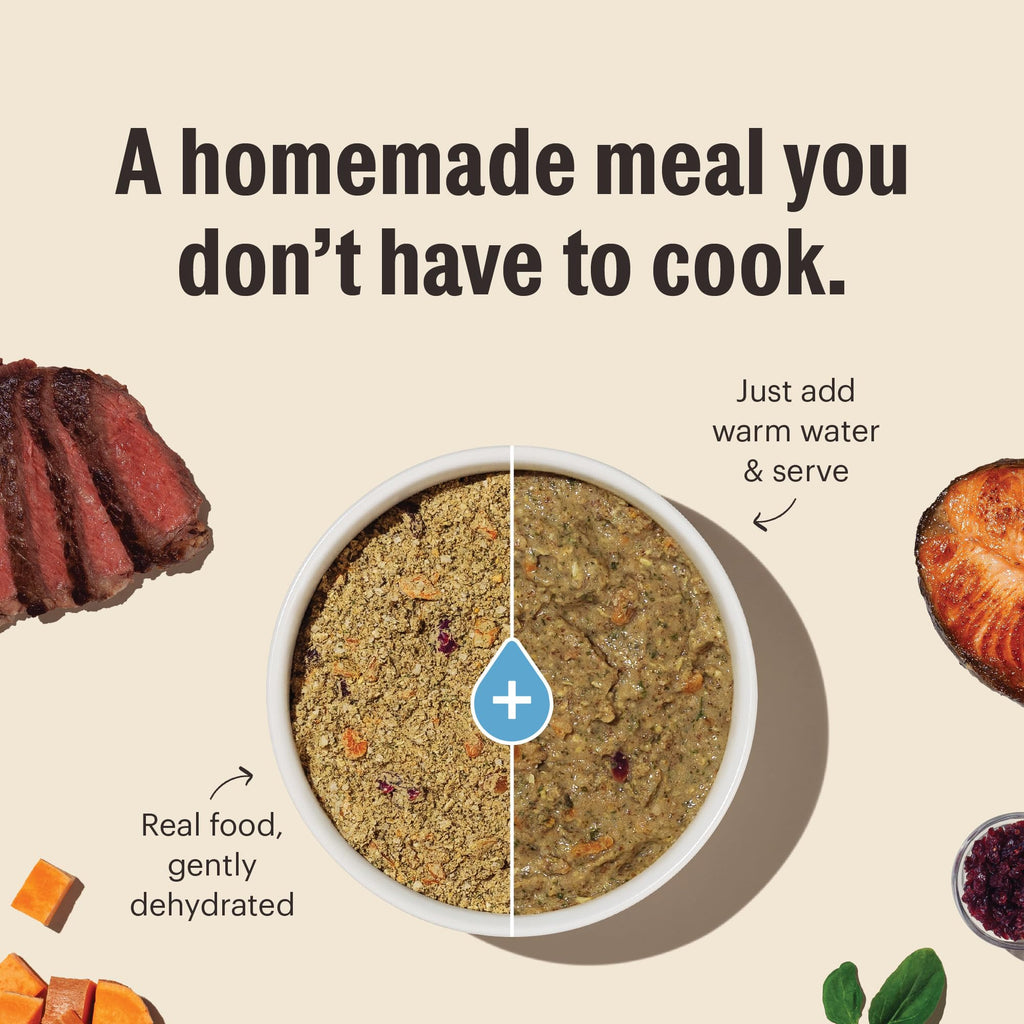 Whole Grain Chicken Recipe Dehydrated Dog Food 10 lb X4972