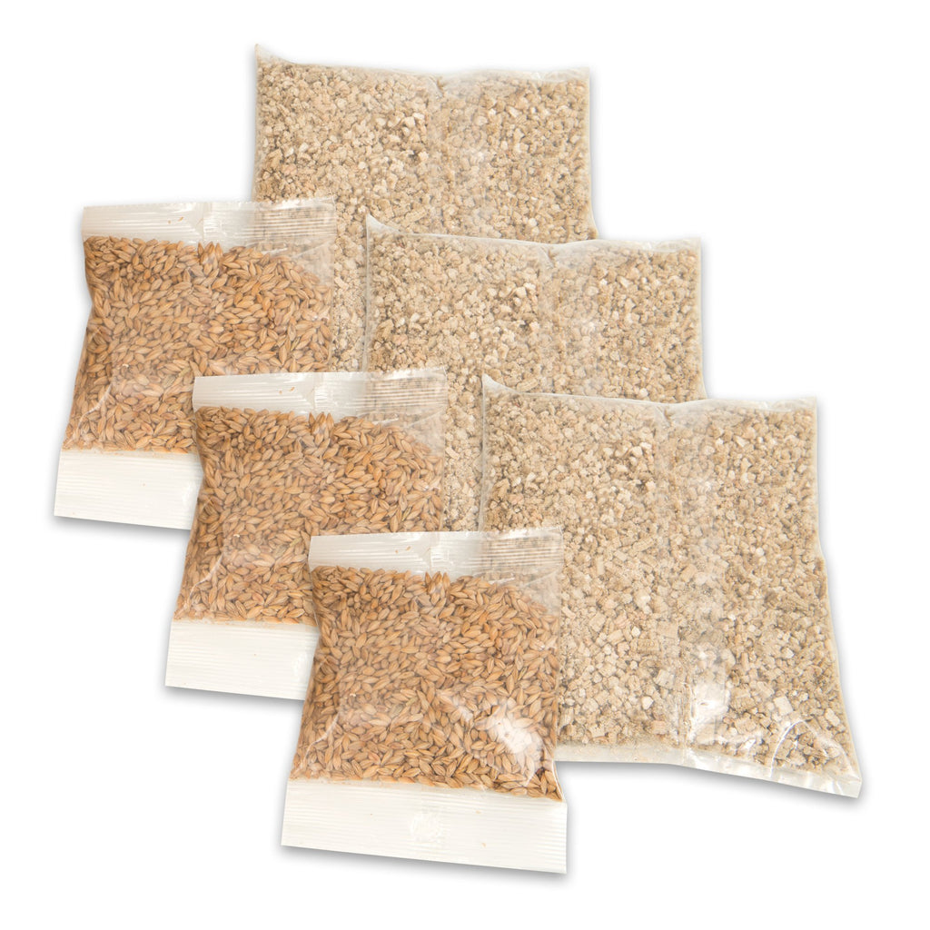 Cat Grass Seeds Set of 3 S535