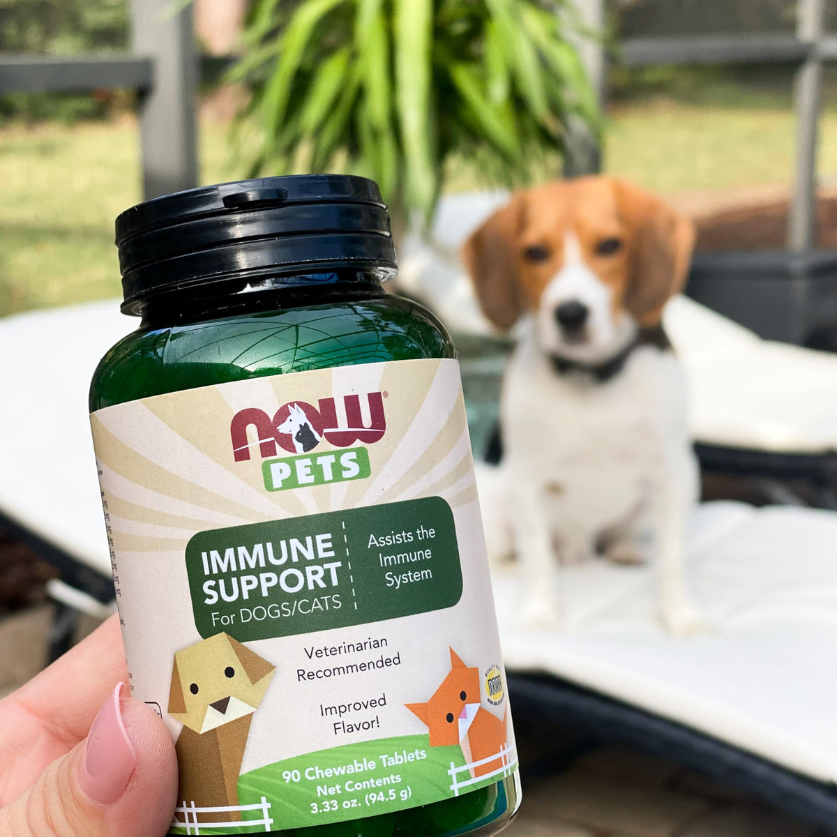 Immune Support Supplement for Cats & Dogs 90 Chewable Tablets Y6771