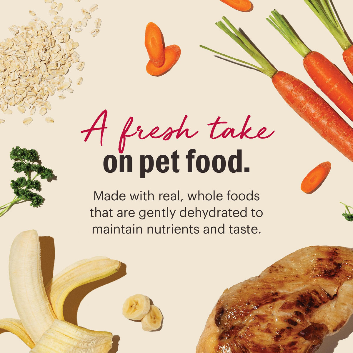 Whole Grain Chicken Recipe Dehydrated Dog Food 10 lb X4972
