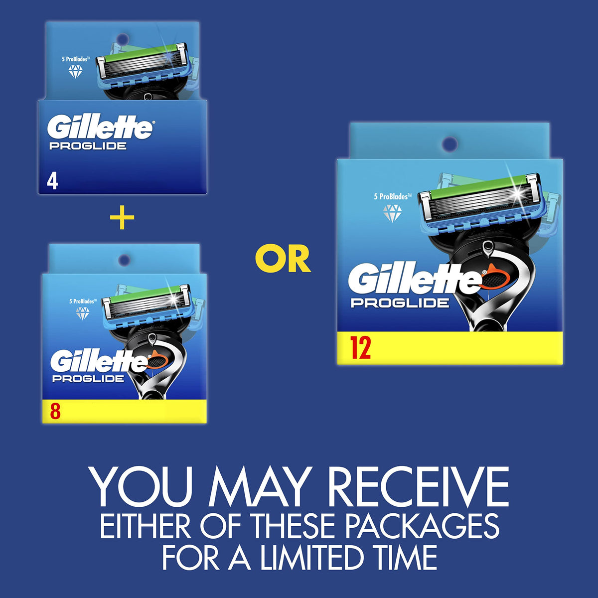 12 Count Razor Blade Refills I32766