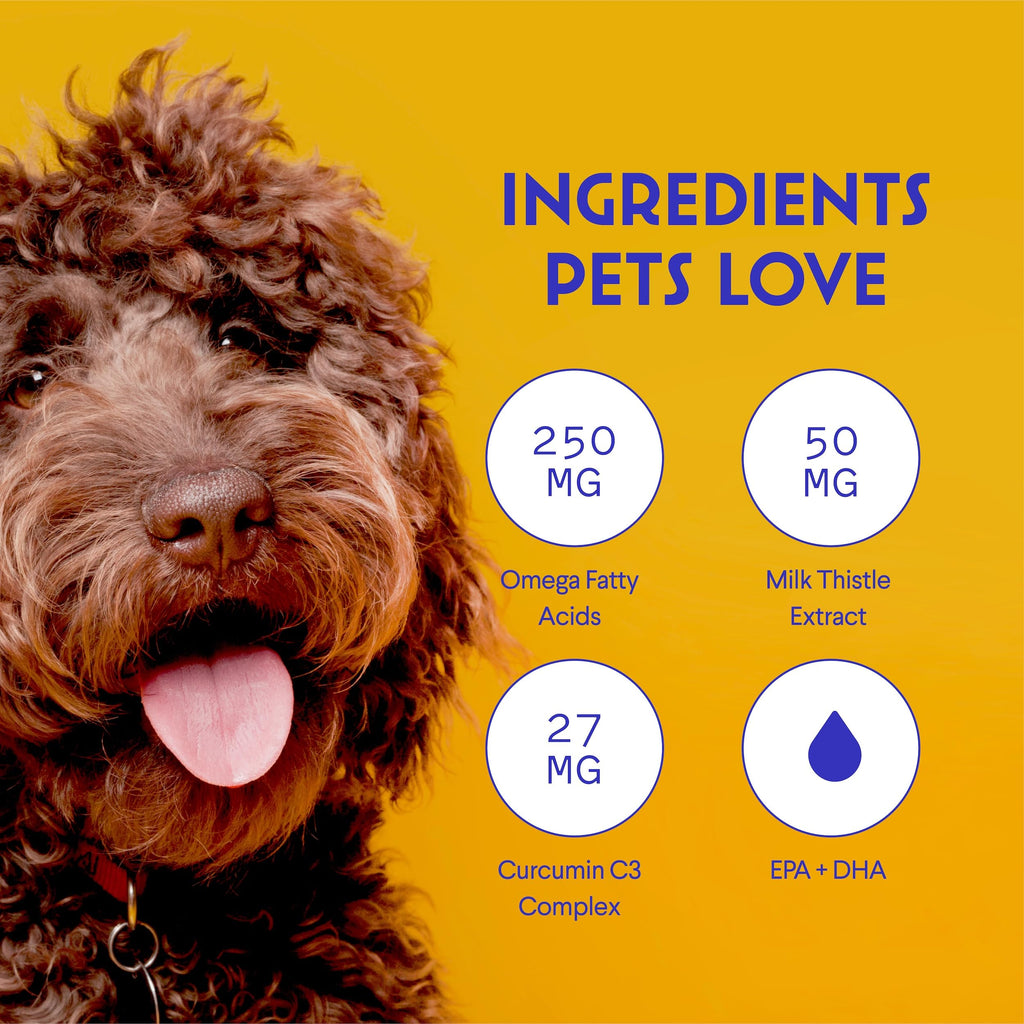 Milk Thistle Liver Support for Dogs with Salmon Oil & Curcumin 2 Oz E993