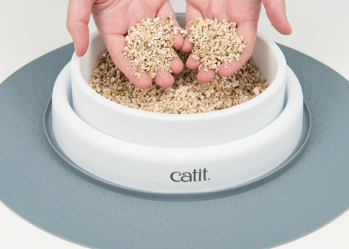 Cat Grass Seeds Set of 3 S535