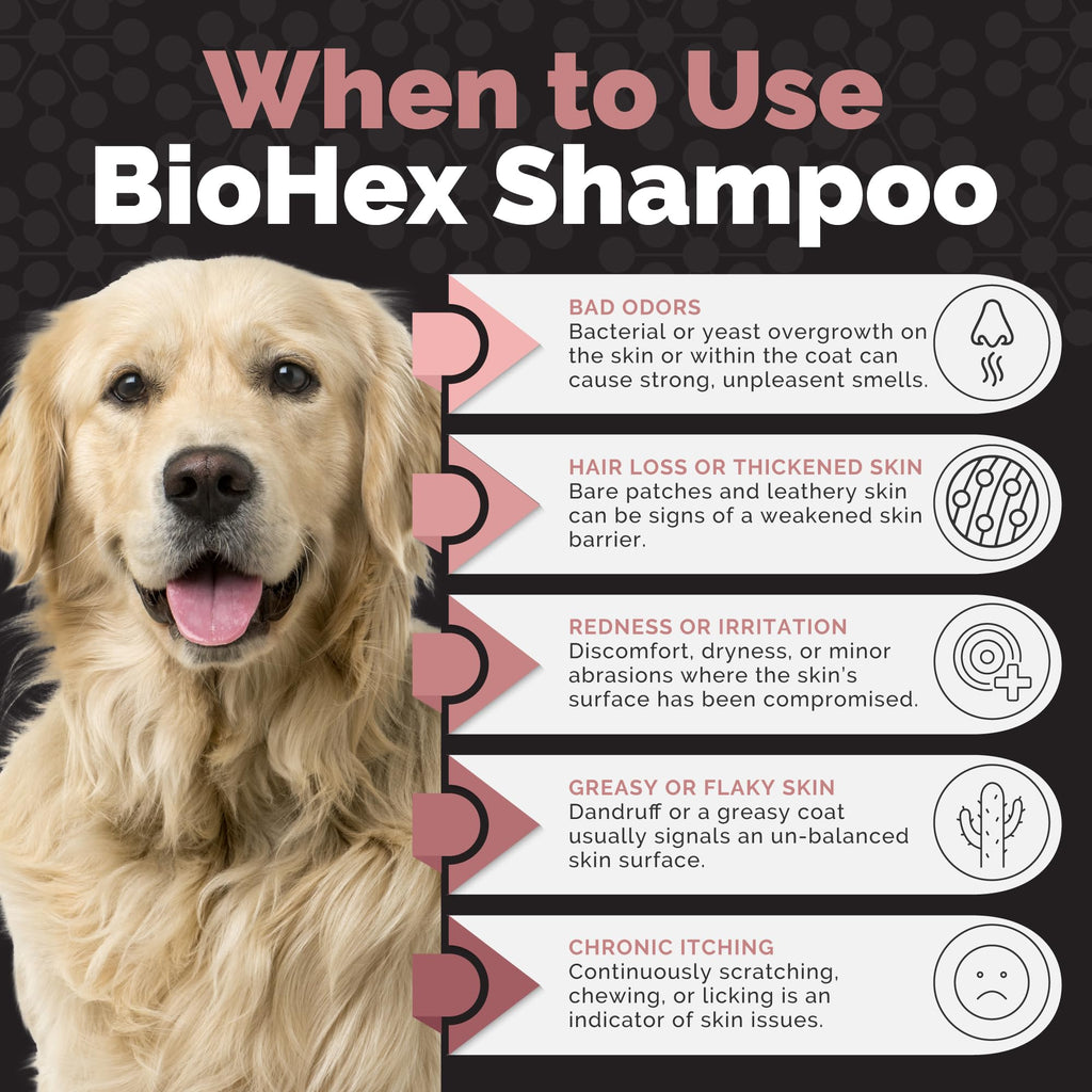 Dog Cat & Horse Shampoo 16oz G290600