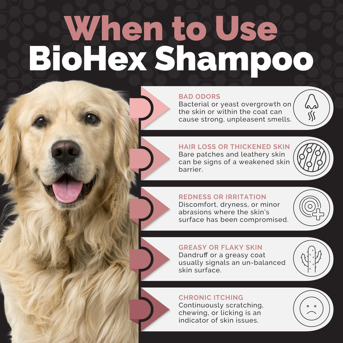 Dog Cat & Horse Shampoo 16oz G290600