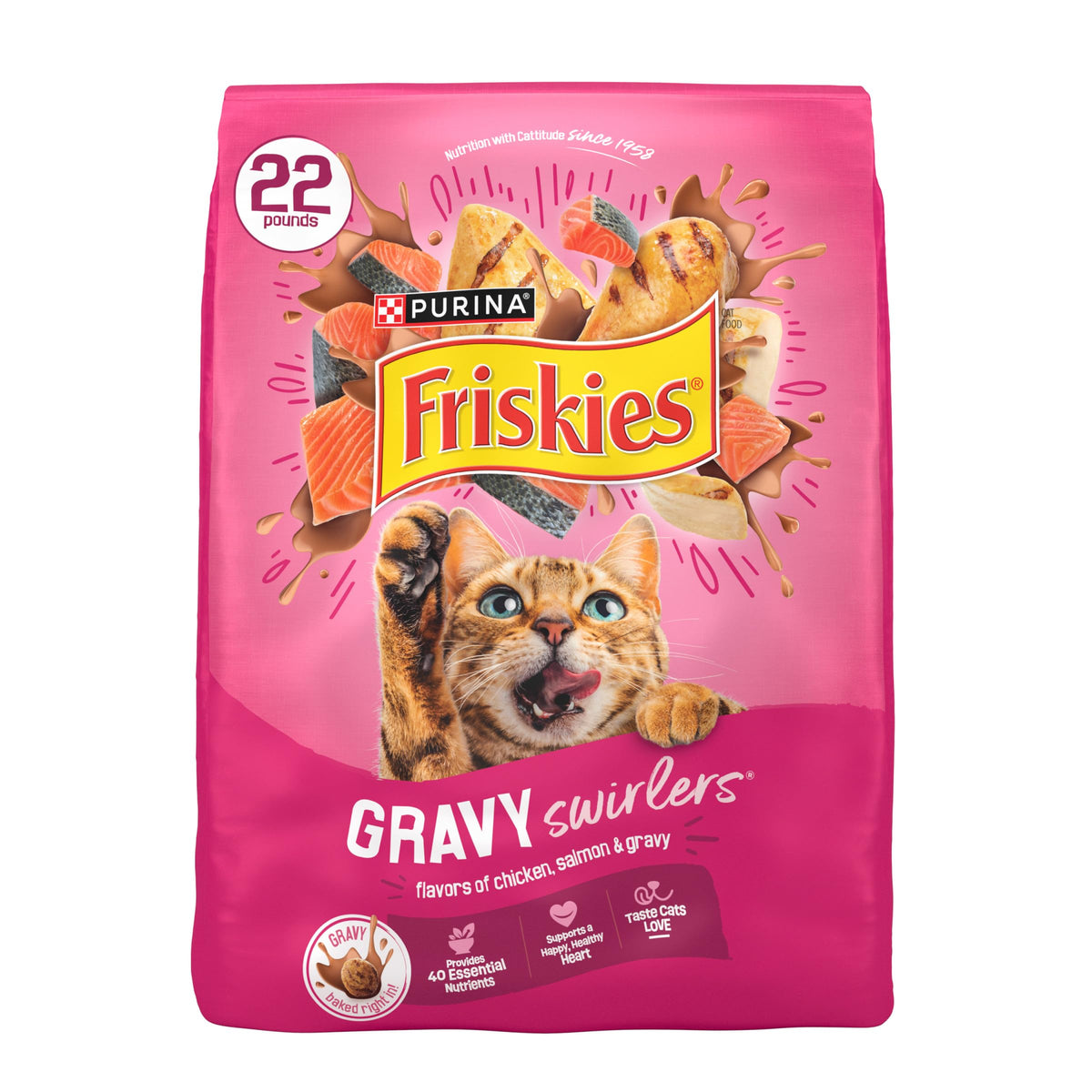 Dry Cat Food, Chicken & Salmon, 22 lb Bag K30748