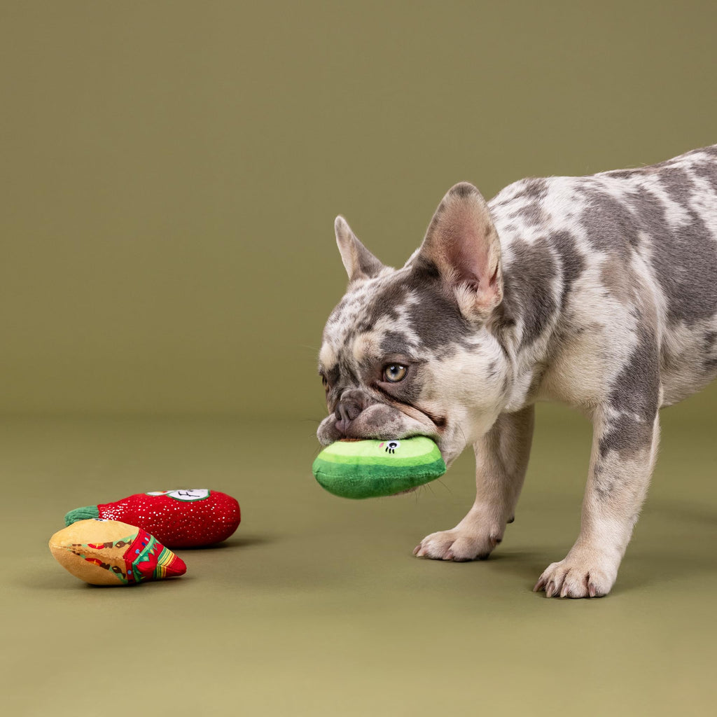 Plush Dog Toy 3 Pieces Set W6131