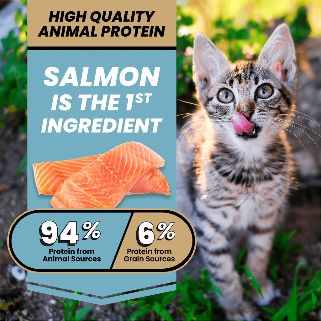 High Protein Salmon Recipe for Kittens, 5lb E830709