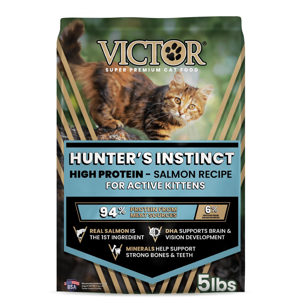 High Protein Salmon Recipe for Kittens, 5lb E830709