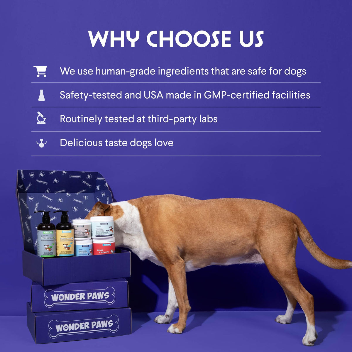 Milk Thistle Liver Support for Dogs with Salmon Oil & Curcumin 2 Oz E993