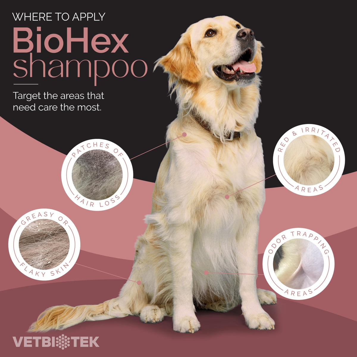 Dog Cat & Horse Shampoo 16oz G290600