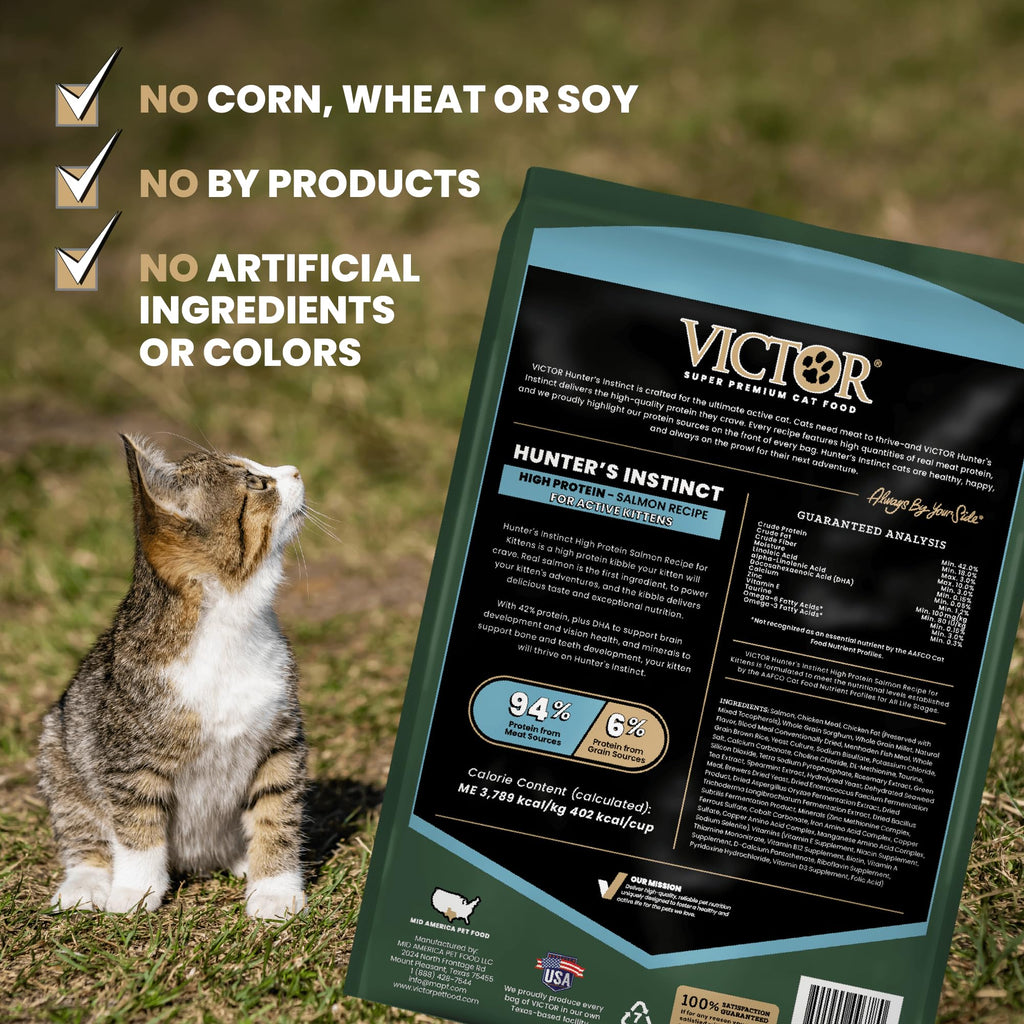 High Protein Salmon Recipe for Kittens, 5lb E830709