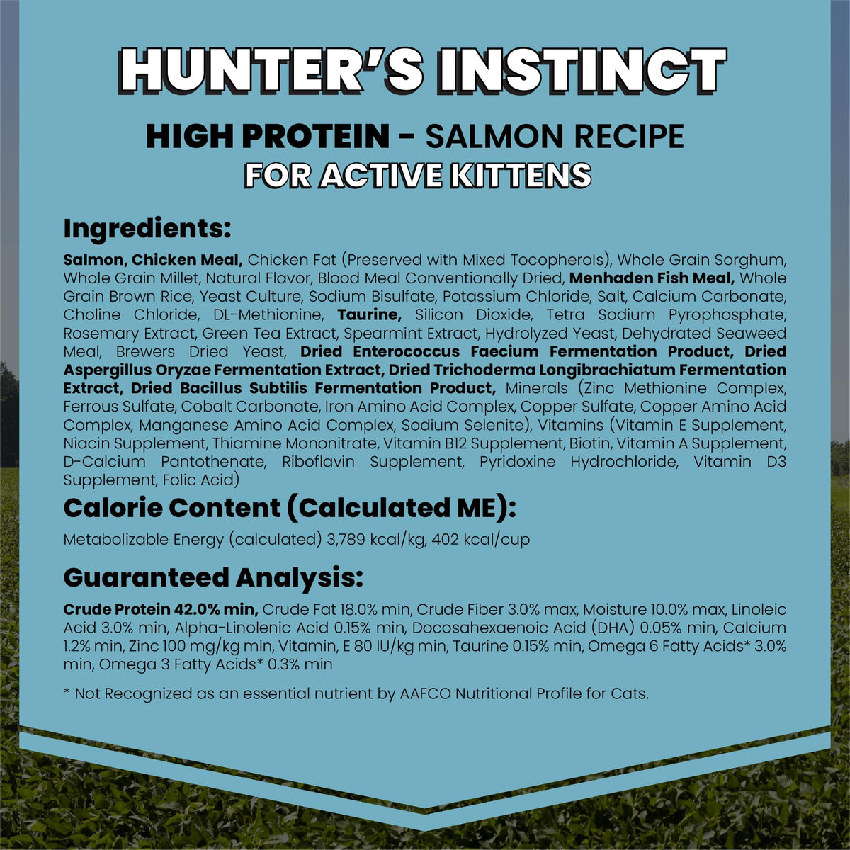 High Protein Salmon Recipe for Kittens, 5lb E830709