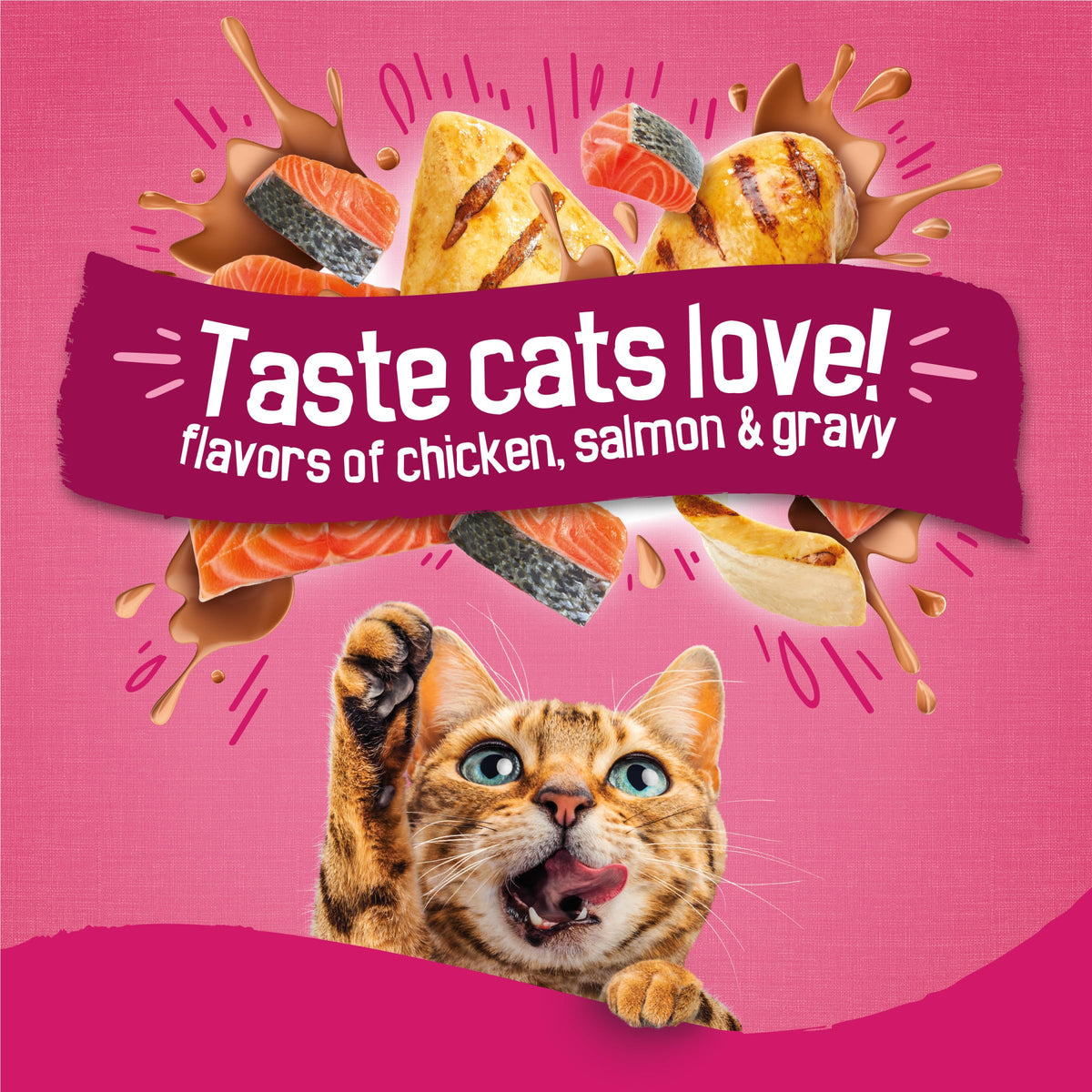 Dry Cat Food, Chicken & Salmon, 22 lb Bag K30748