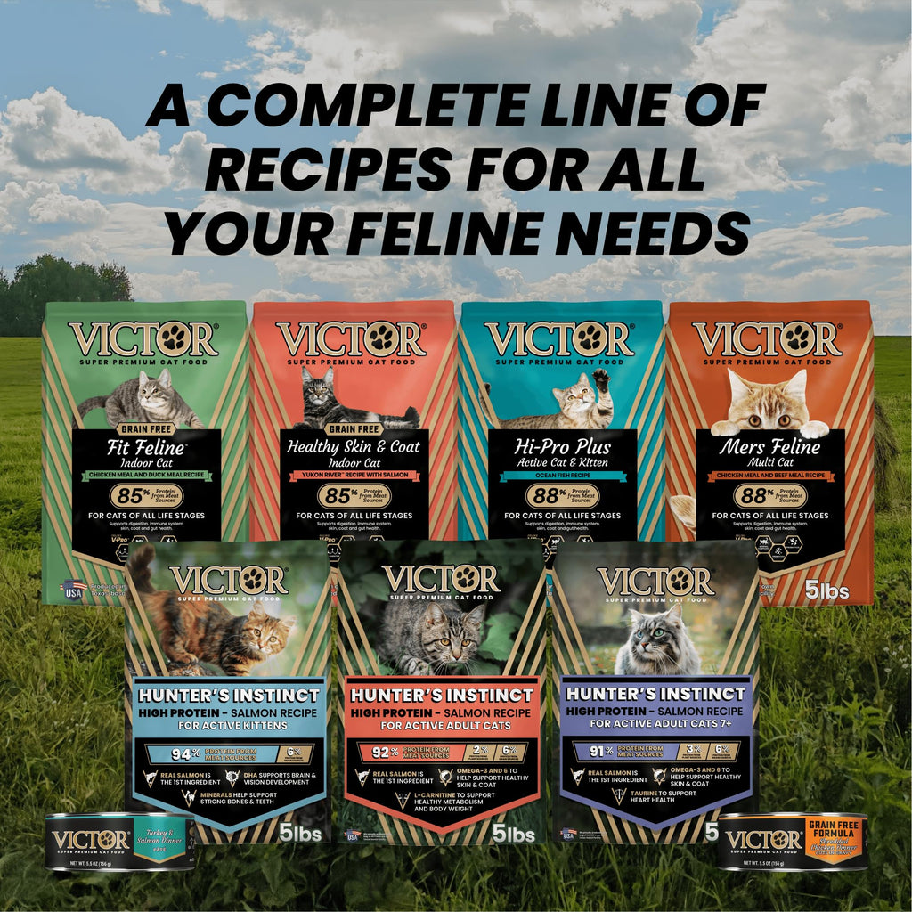 High Protein Salmon Recipe for Kittens, 5lb E830709