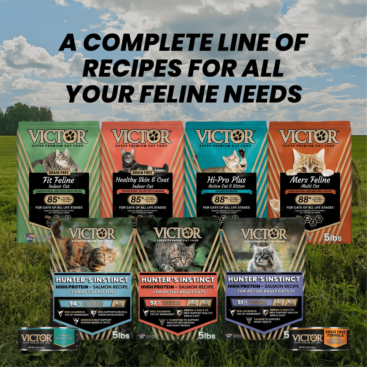High Protein Salmon Recipe for Kittens, 5lb E830709
