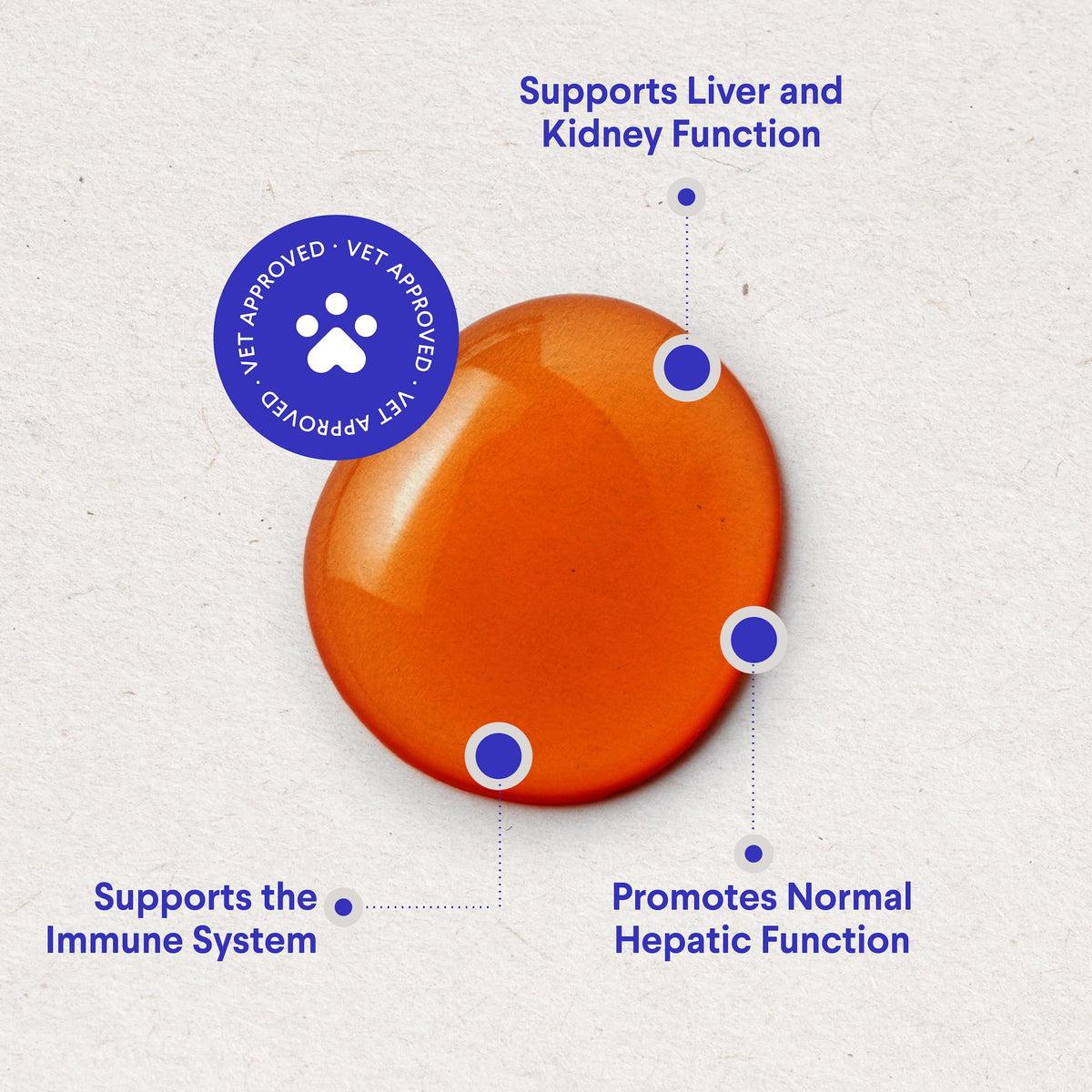Milk Thistle Liver Support for Dogs with Salmon Oil & Curcumin 2 Oz E993