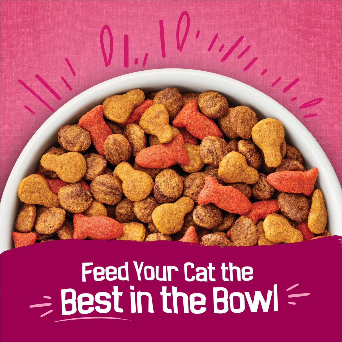 Dry Cat Food, Chicken & Salmon, 22 lb Bag K30748