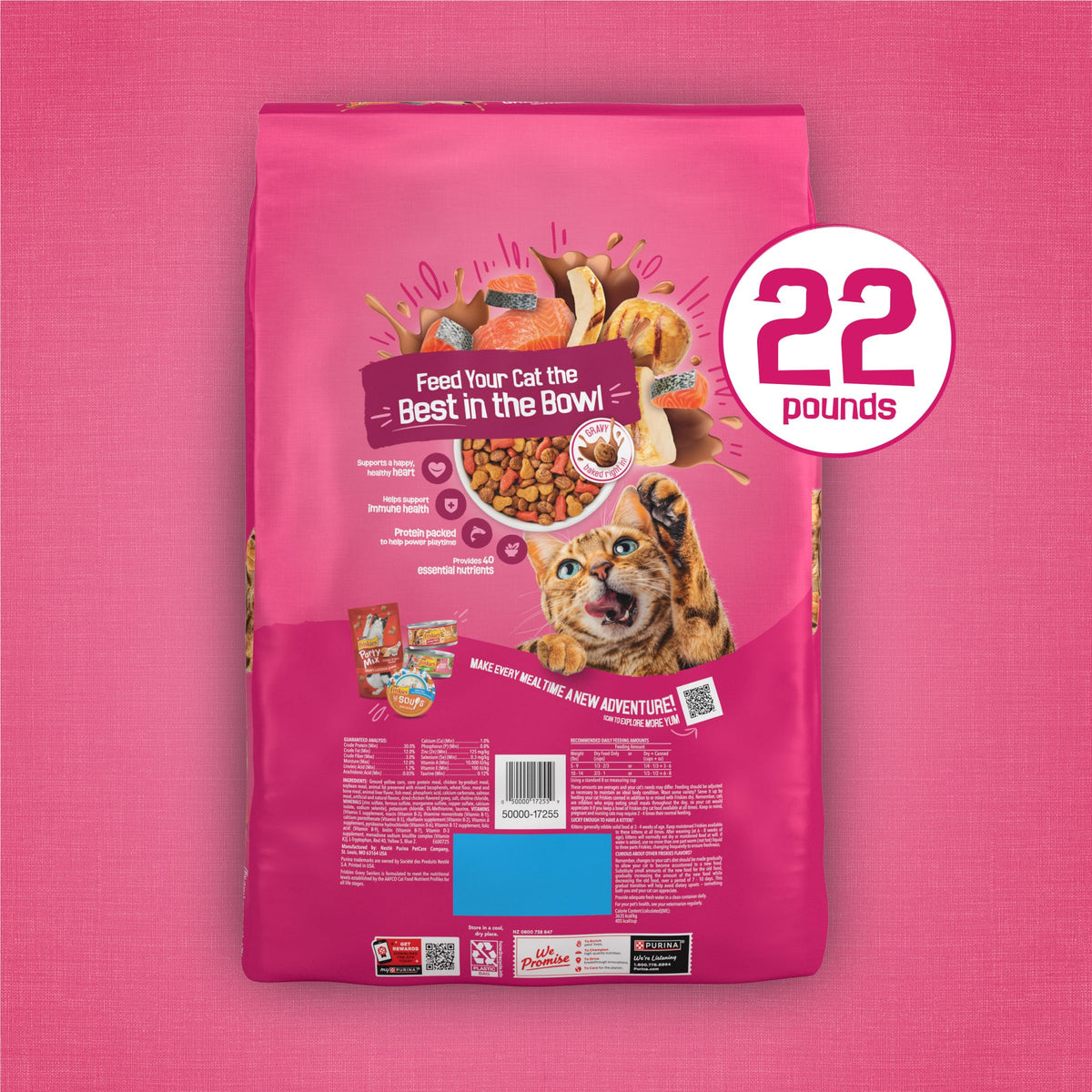 Dry Cat Food, Chicken & Salmon, 22 lb Bag K30748