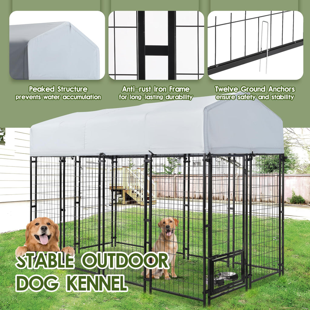 8x4x6 FT Dog Kennel E9699